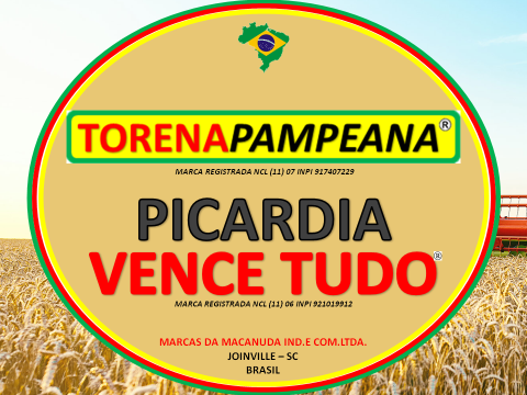 TORENA PAMPEANA E PICARDIA VENCE TUDO EM BOA VISTA DAS MISSÕES RS